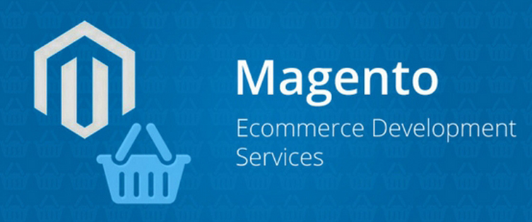 Why should you avail the services of an expert Magento developer?
